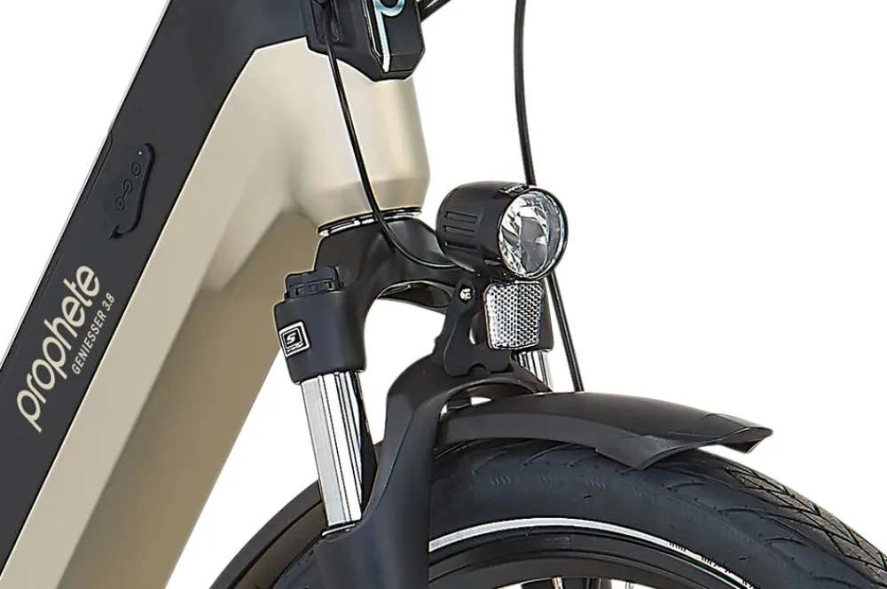 E-Bike Geniesser 3.8 RH48 ^ Prophete Discount