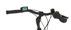 E-Bike Geniesser 3.8 RH48 ^ Prophete Discount