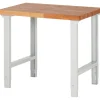 RAU Werkbank Basic Serie 7 Modell 7000-1 Sale