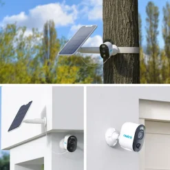 Argus Series B310 with Solar Panel ^ reolink Sale