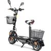 , E-Joy Elektro-Scooter 20 Lithium, Schwarz, 36V-20AH Akku, 500 Watt ^ Rolektro Clearance