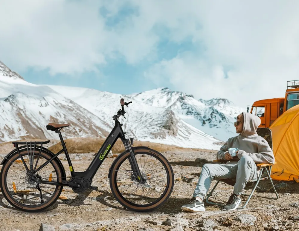 E-SUV CityBike C5R Centro ^ Sachsenrad New