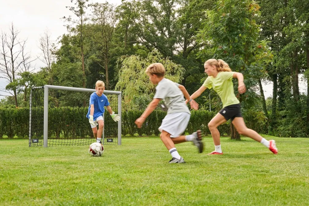 Fußballtor Champion ^ salta