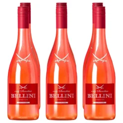 Bellini Erdbeer 5,0 % vol 6 x 0,75 Liter ^ Sansibar New