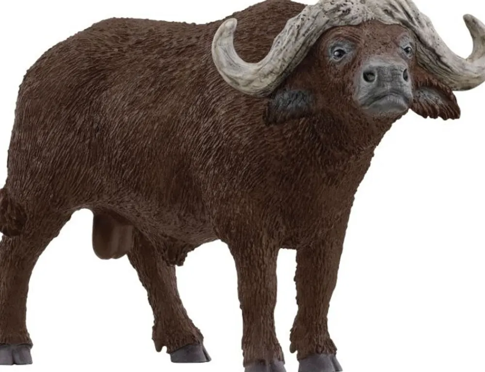 Schleich Kaffernbüffel Online