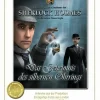 dtp entertainment AG Sherlock Holmes: Der silberne Ohrring - Special Edition (DVD-ROM) Best