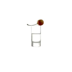 Schnapsgläser New York Bar 55 ml 6er Set ^ Stölzle Lausitz Sale