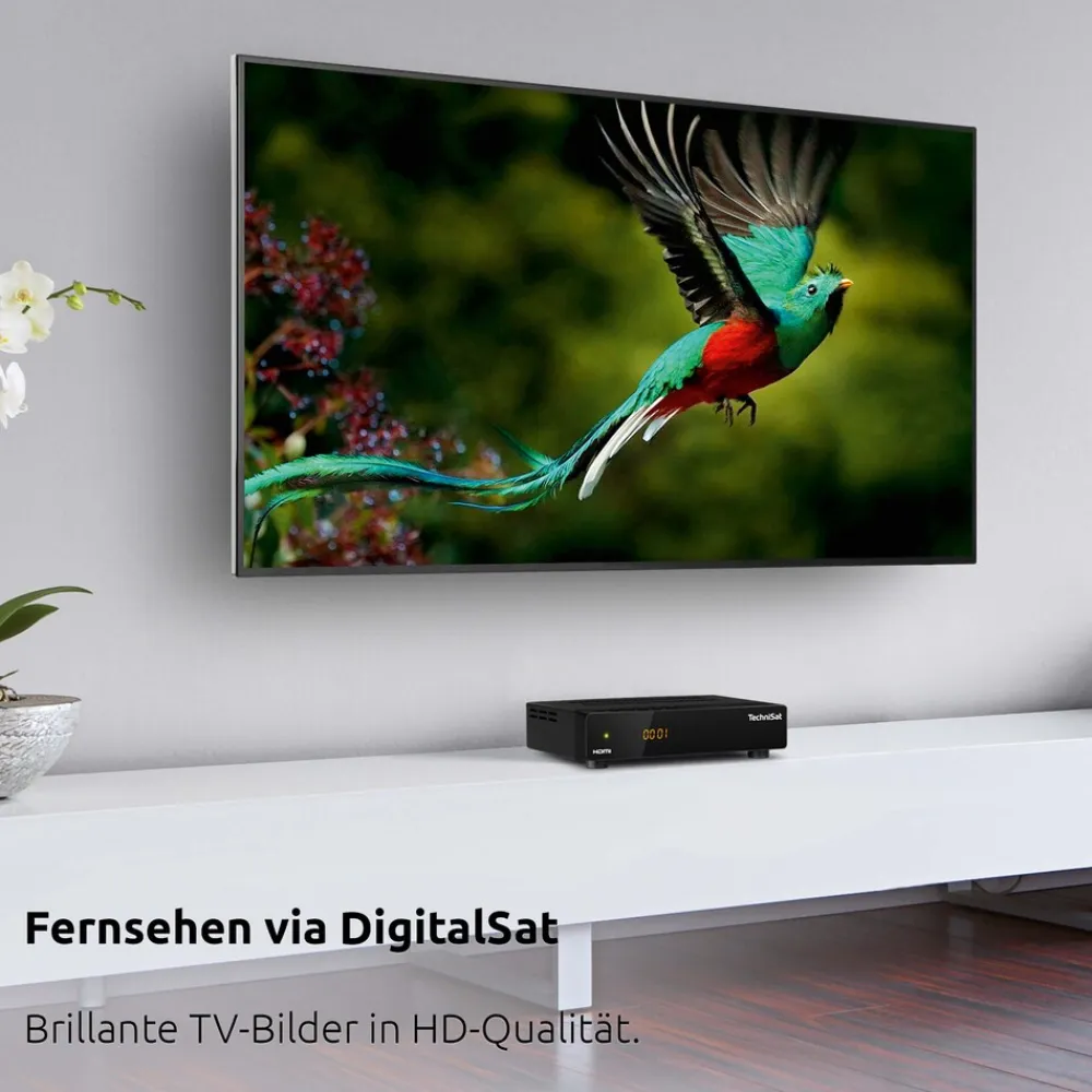 Technisat HD-S 210 – Kompakter HD SAT-Receiver (DVB-S/S2, HDMI, USB Mediaplayer) Clearance