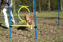 Dobar 3-teiliges Agility Sprung-Set, mit 2 Hürden und Sprungreif Best