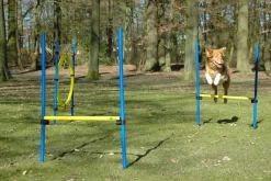 Dobar 3-teiliges Agility Sprung-Set, mit 2 Hürden und Sprungreif Best