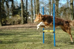Dobar 3-teiliges Agility Sprung-Set, mit 2 Hürden und Sprungreif Best