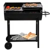 Holzkohlegrill Detroit ^ Tepro Hot