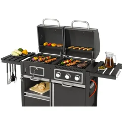 Tepro Kohle-Gas-Kombigrill Toronto Clearance
