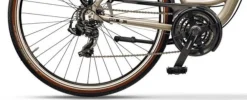 Trekkingbike ARENA LOW STEP 28 Zoll ^ Cross