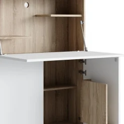 Vicco Schreibtischschrank Büroschrank Aktenschrank Alena Computertisch SON-Weiß Online
