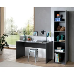 LONDON Jugendzimmer Set 2-tlg. best. aus: Schreibtisch, Regal, Ausf. Dekor Anthrazit, Absatz Buche natur massiv ^ vipack Clearance
