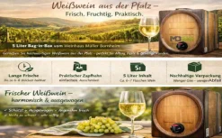 Weinhaus Müller Bornheim Pfalz Regent Rotwein trocken 12 % vol. 5 Liter Bag in Box Sale