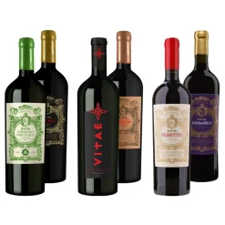 Weinpaket "Rot" 13,0 - 14,0 % vol 6 x 0,75 Liter ^ Evita Hot