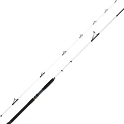 WFT Coastal Jigger Salzmeister 2,75m 40-160g Meeresrute 2-Teilig Clearance