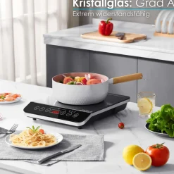Zilan Induktionskochfeld 1 Platte Einzelinduktionskochfeld 2000W Sale
