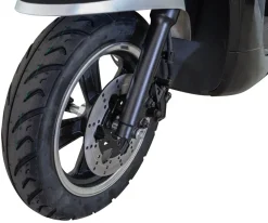 Motorroller ZI-EMR30AhLI ^ Zipper Clearance
